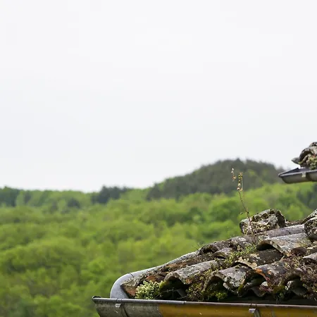 Tenute Valerio Campana (L'Aquila)